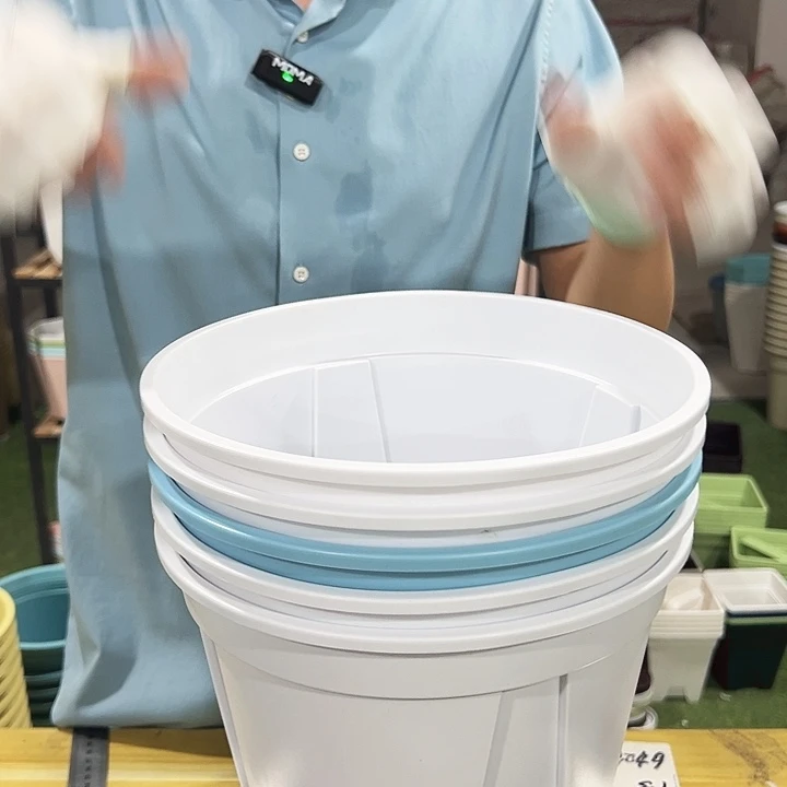 青山口24高24混色无托5只