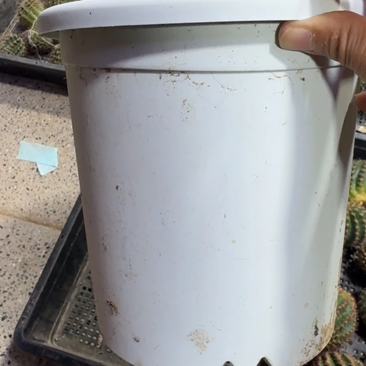 大灰白圆盆2个口径20公分左右无托盘，20包邮