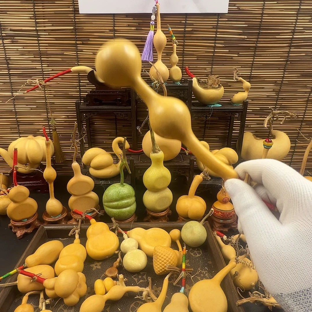 后****葫芦葫芦葫芦葫芦葫芦
