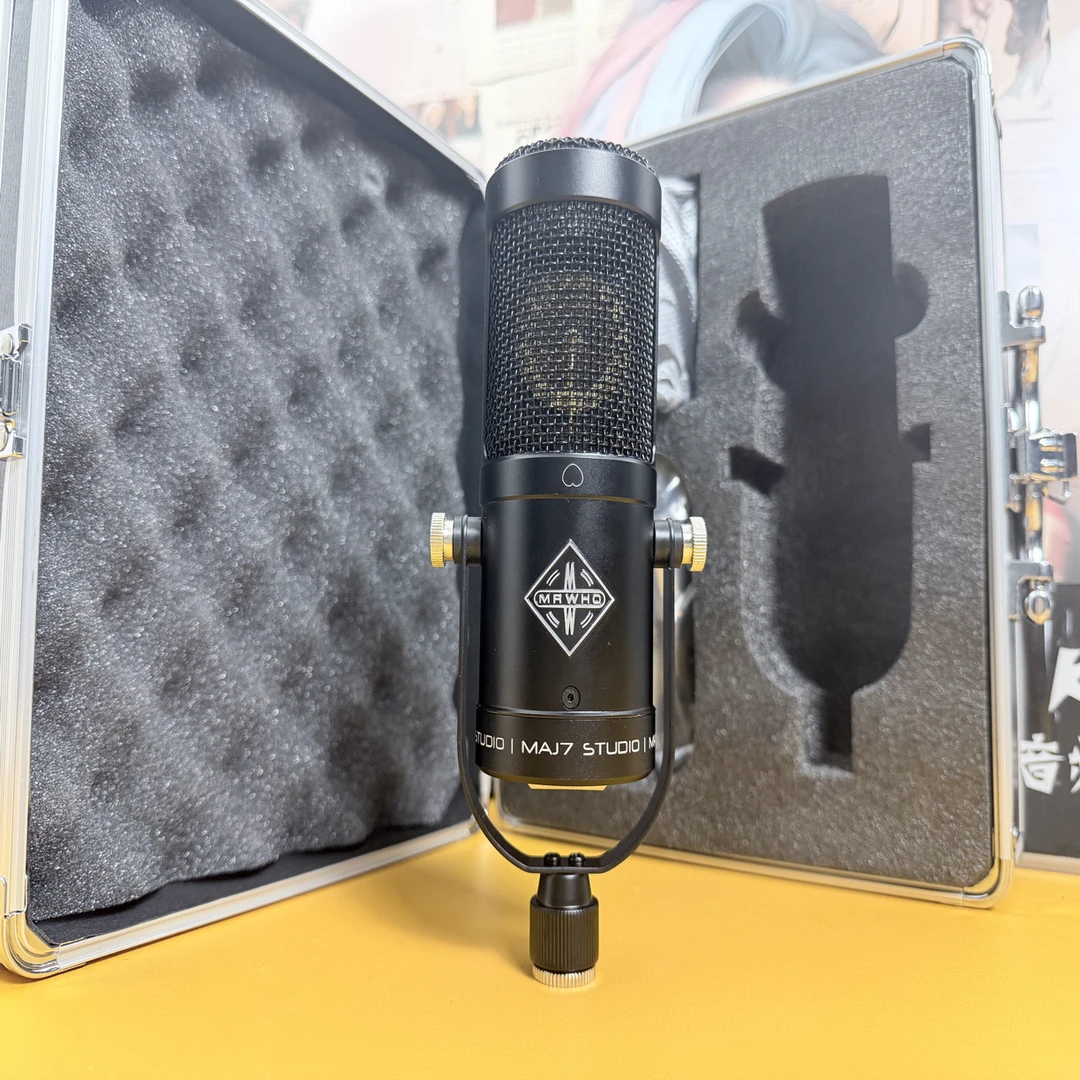 烟头小黑麦克风大振膜电容麦克风专业录音话筒