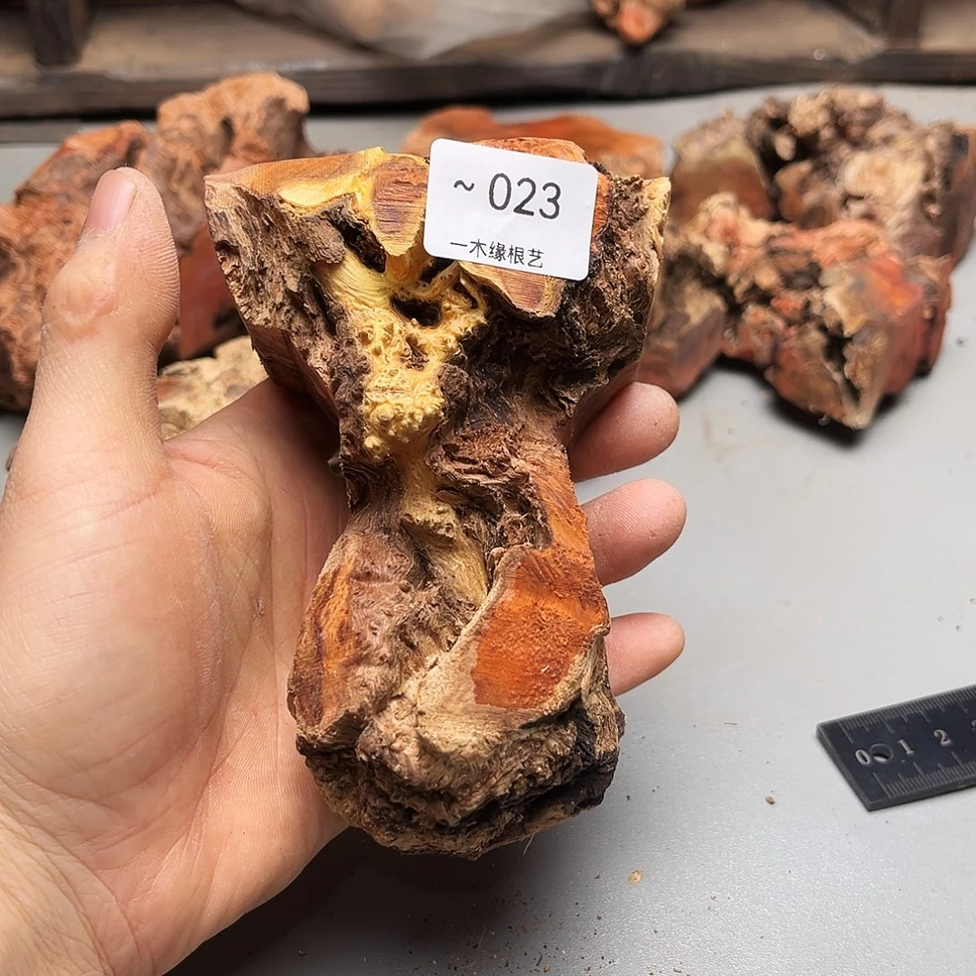 ~***~无花朵00000000023