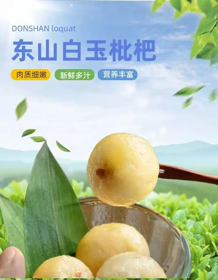 正宗苏州东山白玉枇杷新鲜孕妇水果应季水果超甜农家种植现采摘果