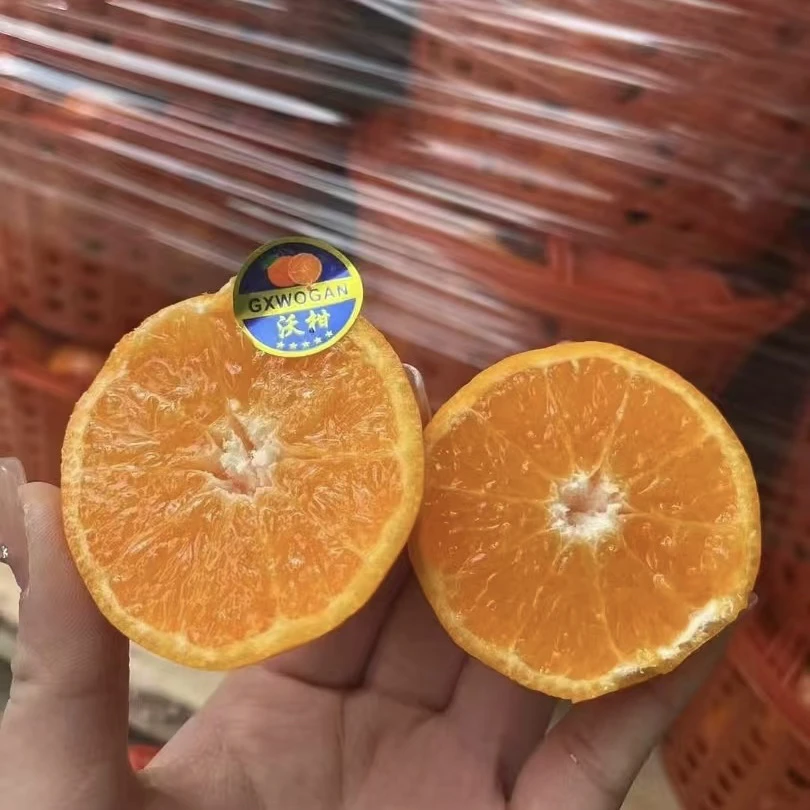 无核沃柑一箱毛重约5斤沃柑茂谷柑四川省四川省安庆市