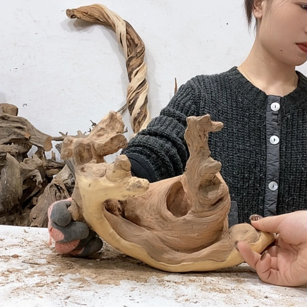 【闪购商品】柏木人****忧我们都是好孩子
