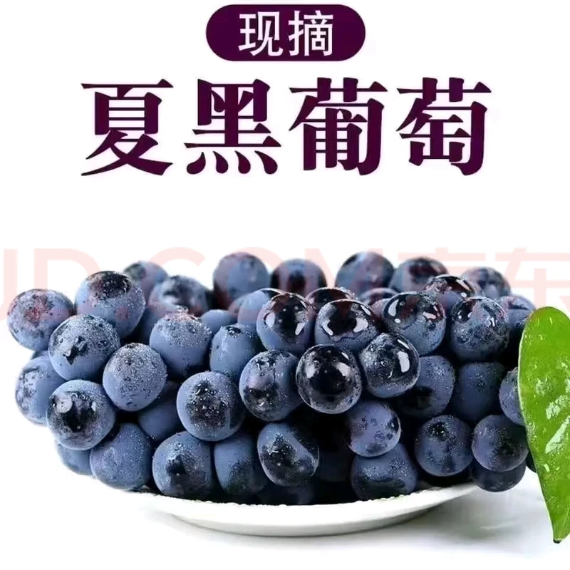 （京津冀次日达）夏黑葡萄-脆甜无籽新鲜-小时候的味道顺丰包邮