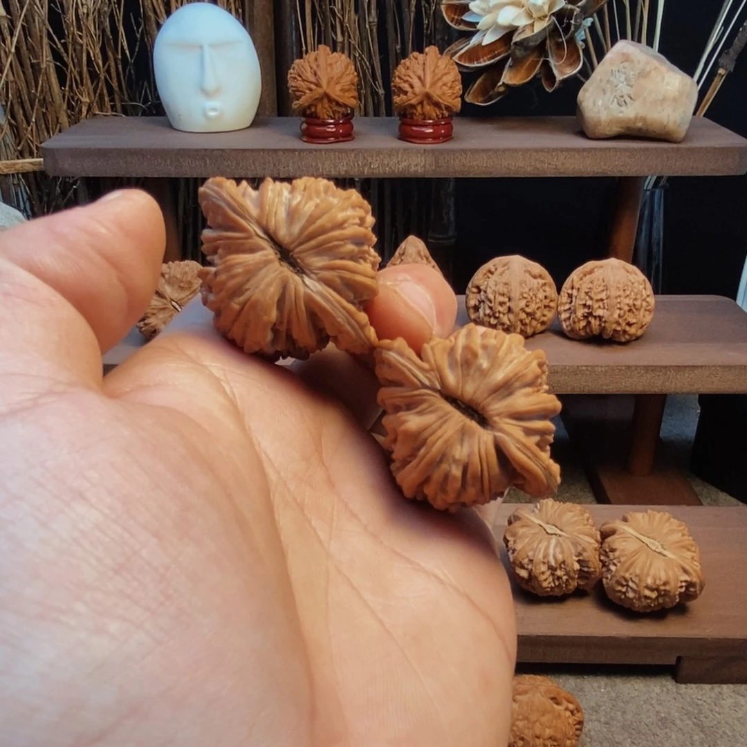 手串/手链核桃43全品楼子