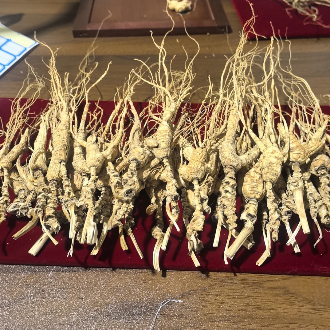 长白山林下老残参可泡茶泡酒用的东北特产