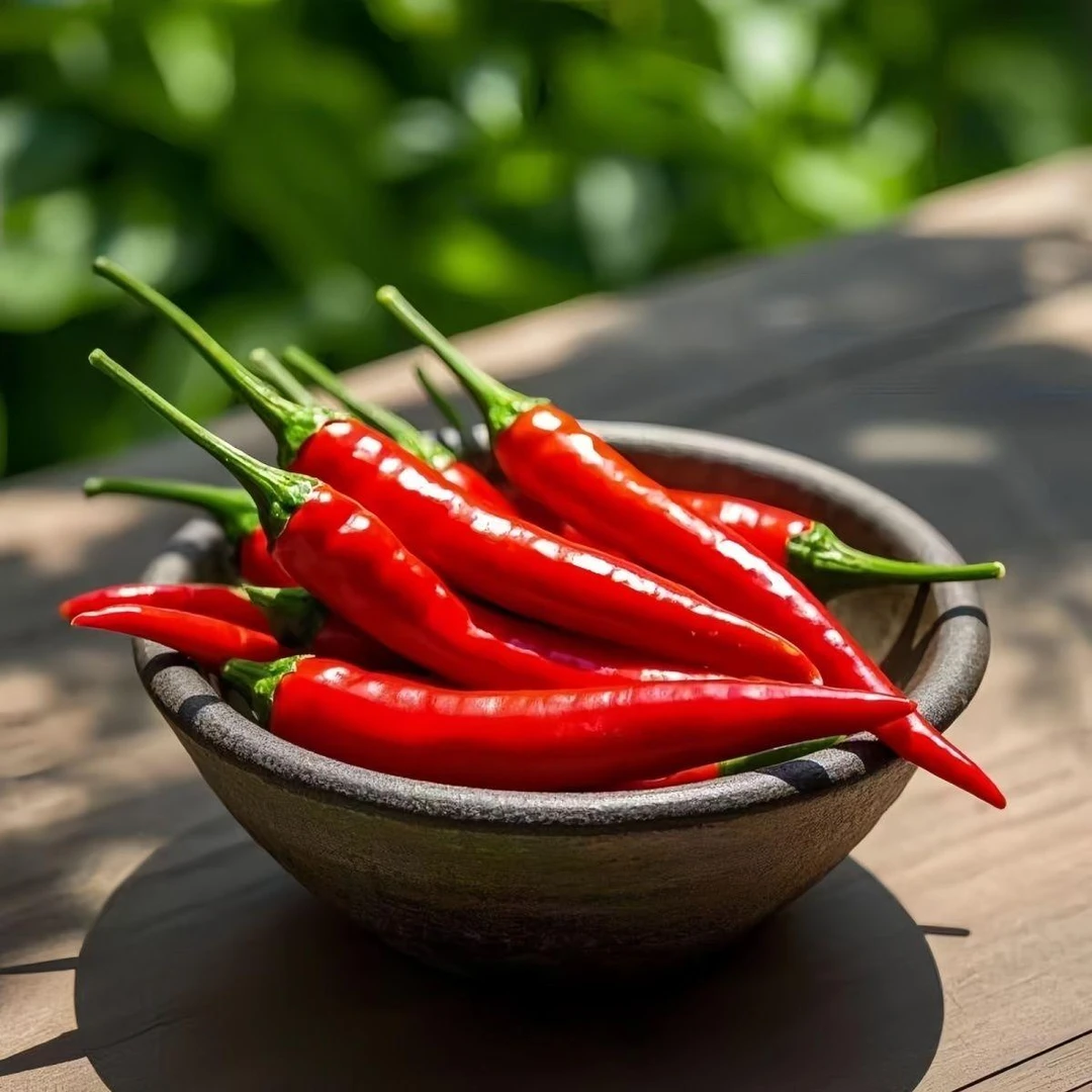 新鲜特辣小米辣云南产地高山种植农户自种现摘现发特辣小米辣辣椒