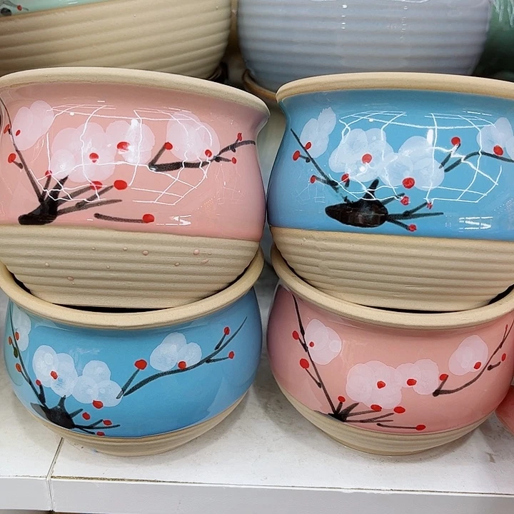 多肉植物陶瓷花盆