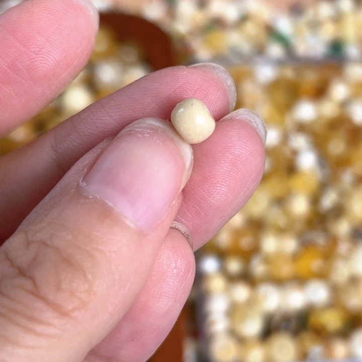 未镶嵌蜜蜡裸石6mm一个