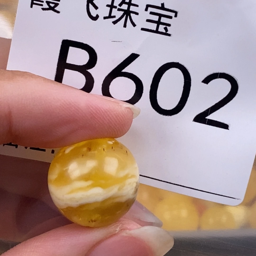 琥珀未镶嵌珠宝奇石17有植物