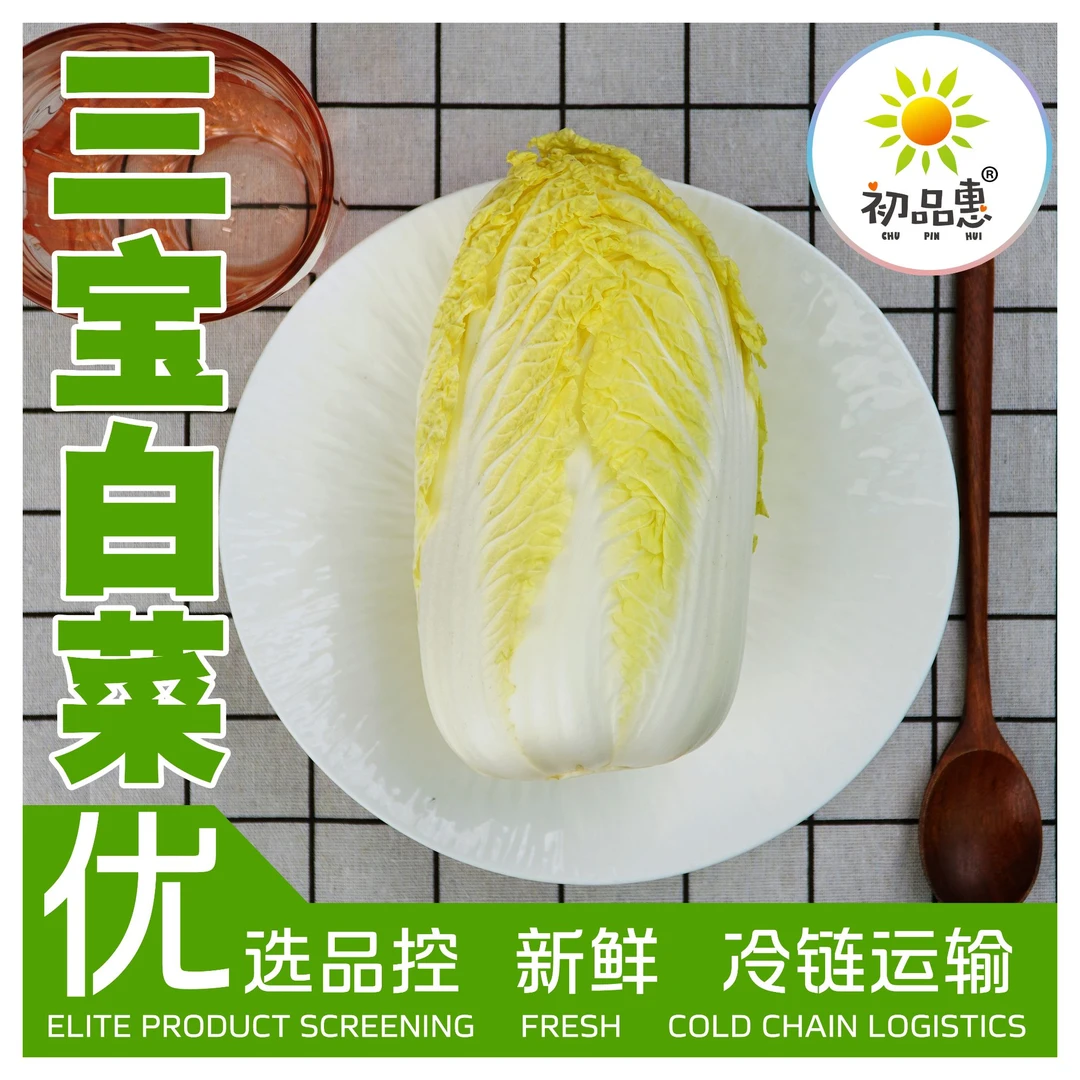 初品惠 优选【三宝白菜】 约620g 冷链运输  安全 健康 洁净绿色蔬菜白菜