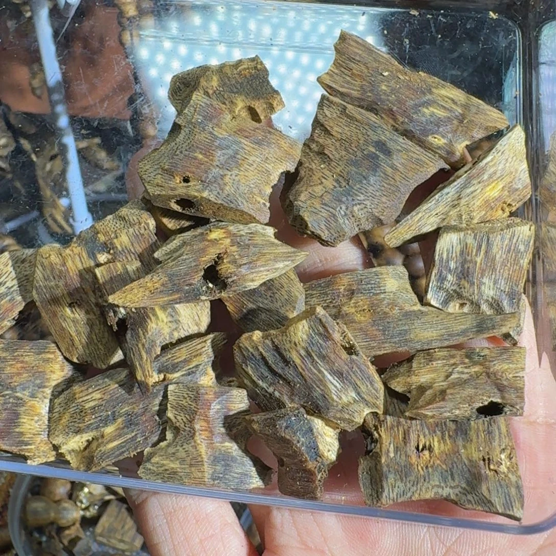 沉香沉香碎屑白露老料27克料子