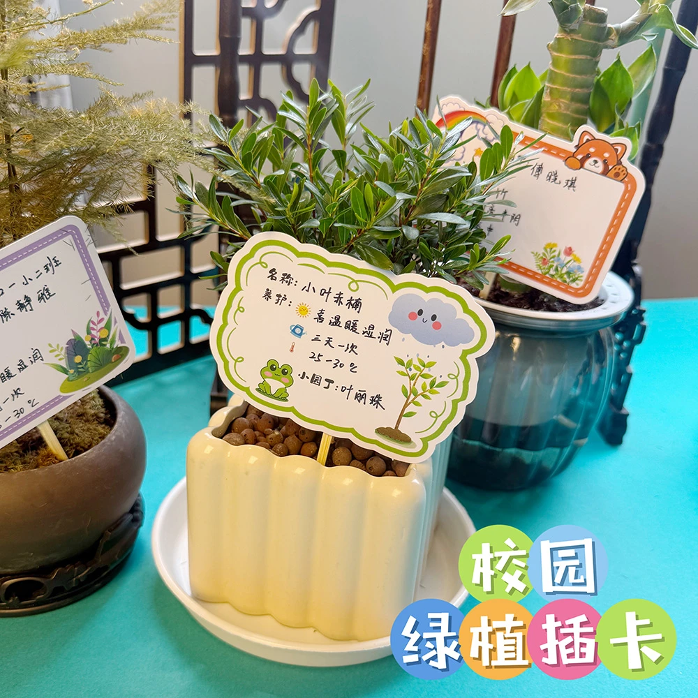 恒欣茂植物角养护提示牌防水绿植卡幼儿园标签牌盆栽教室园艺环创