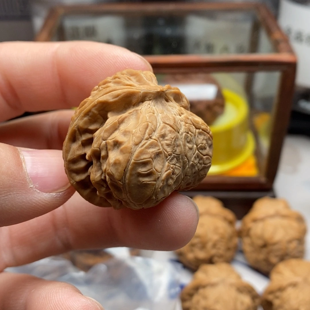 核桃把件三六宫灯蛇