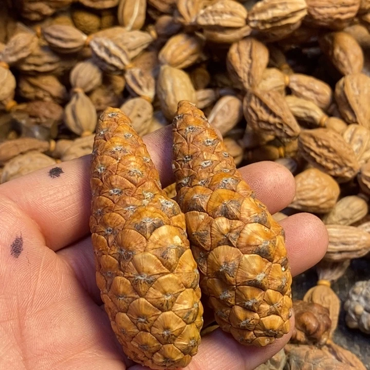 武***豆文玩核桃吊坠东北特产57