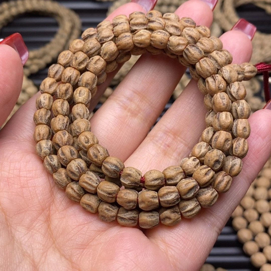 柏香籽/百香籽吊坠草*