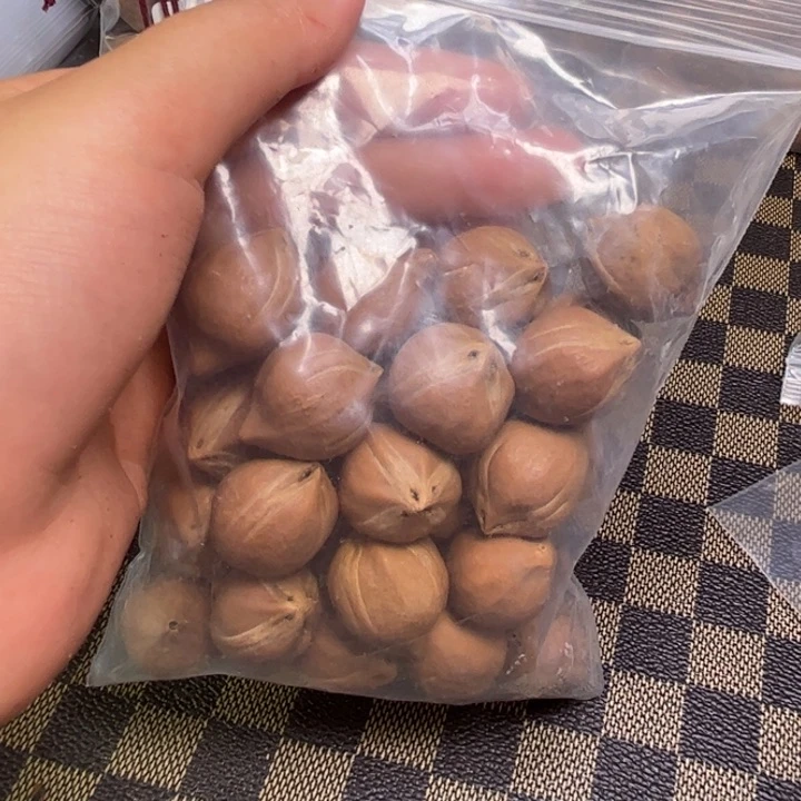 橄榄核手串/手链