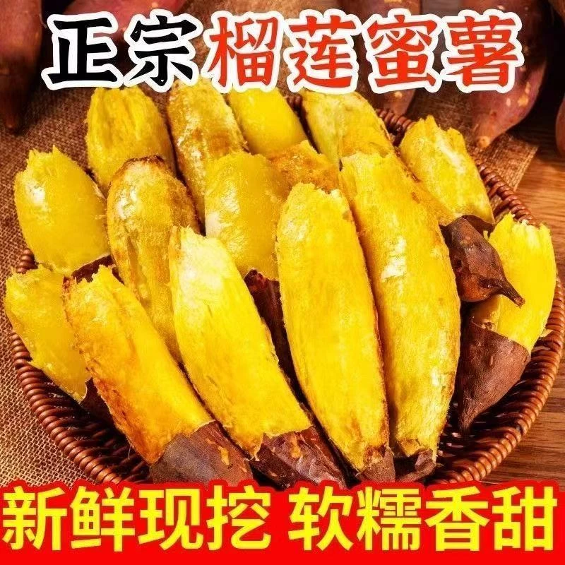 云南高原榴莲蜜薯烤地瓜新鲜软糯香甜红薯早餐辅食香甜细腻丝滑
