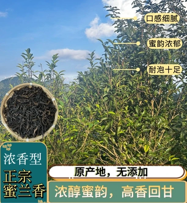 《一斤袋装》高山正宗蜜兰香单丛茶番薯香新茶花香清甜鸭屎香单丛茶