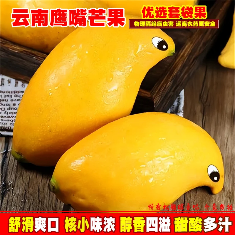 云南鹰嘴芒黄皮芒果套袋甜心新鲜热带水果套袋生态果3-5斤
