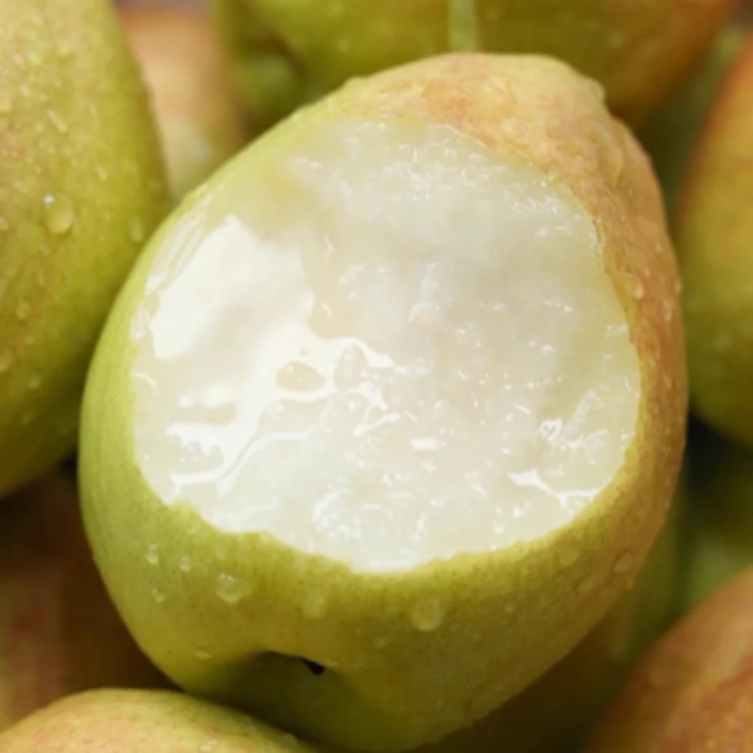 库尔勒香梨 水份充足 一箱13斤多  新疆