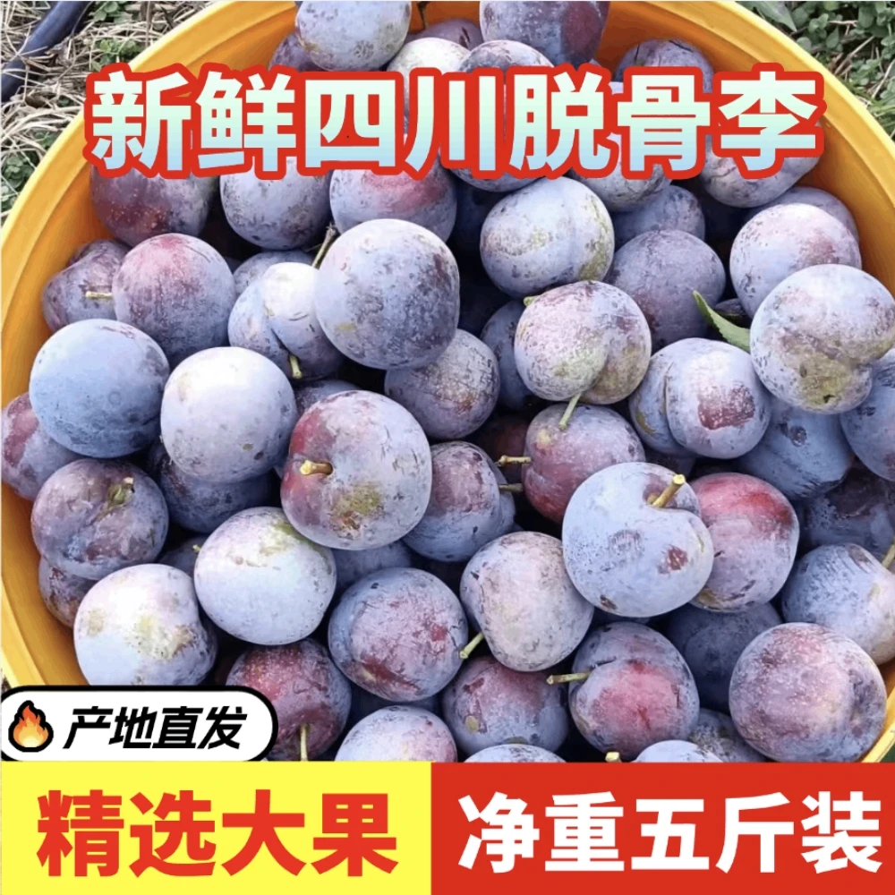 【顺丰包邮】四川达州宣汉高山脆红脱骨李子（新鲜现摘现发）