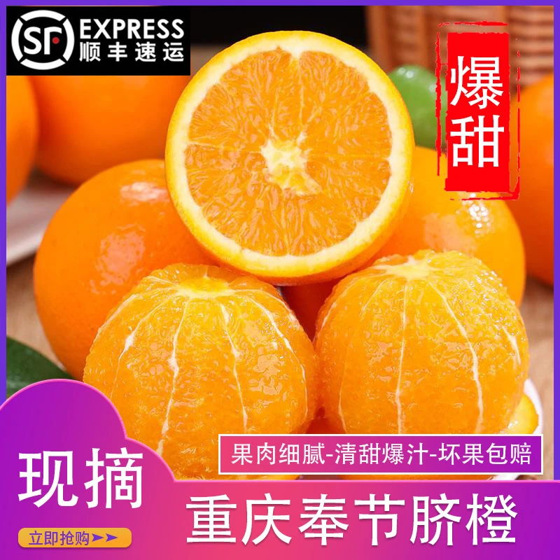 【顺丰速运】重庆奉节脐橙重庆福本圆红纽荷尔蜜橙长红手剥橘