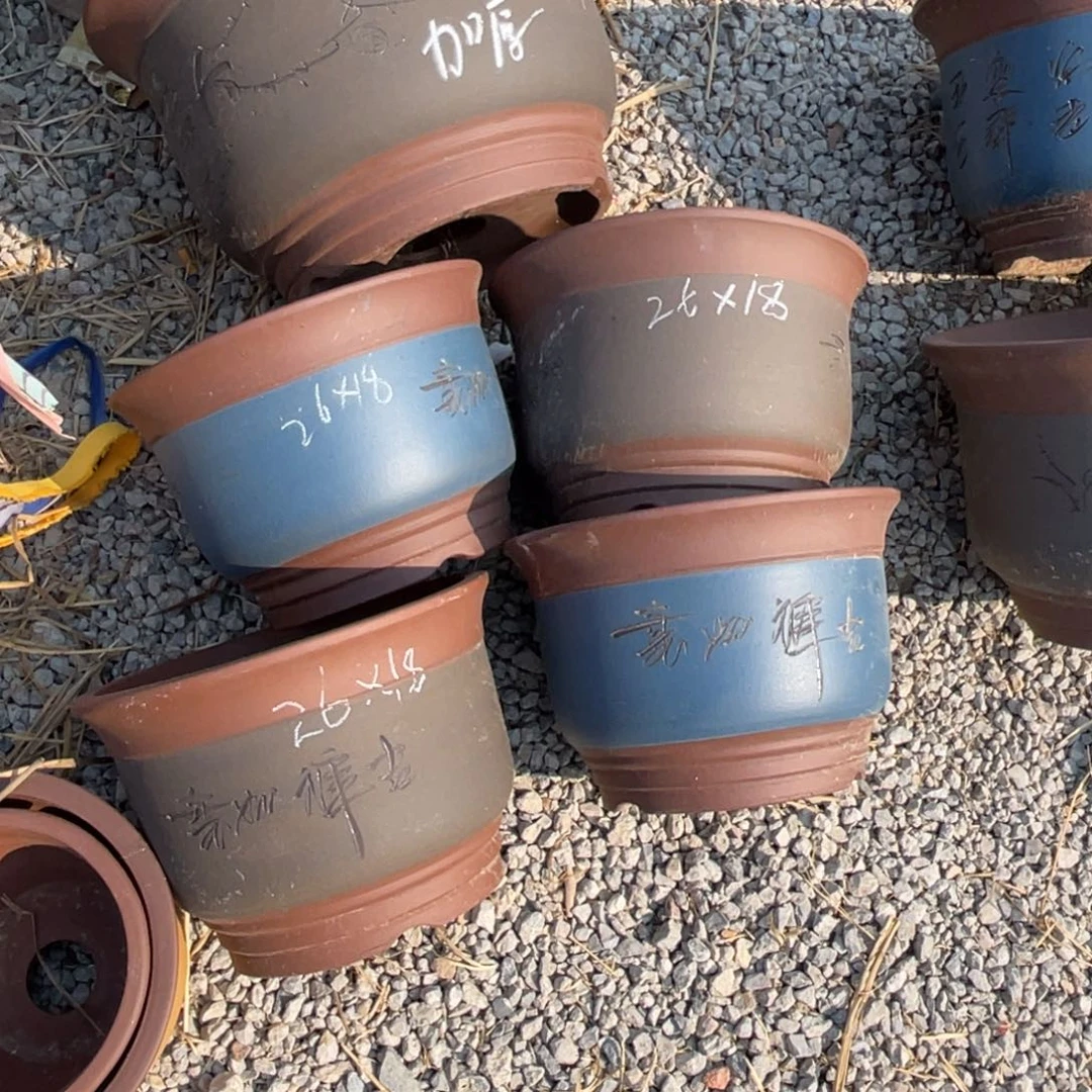 紫砂金钟26*18 四只