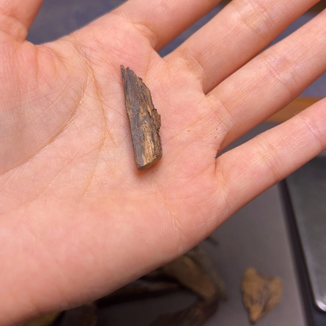 沉香碎屑沉香海南沉水老树心0.8克