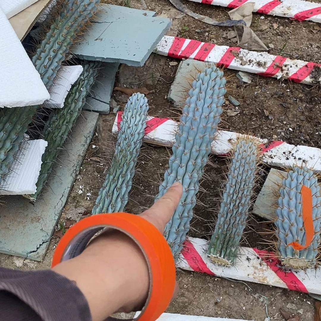 㐗****づ000000000000000000000