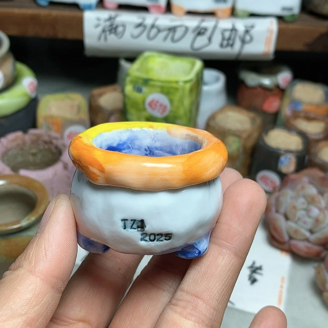 红陶小*蕾拍5送一个小