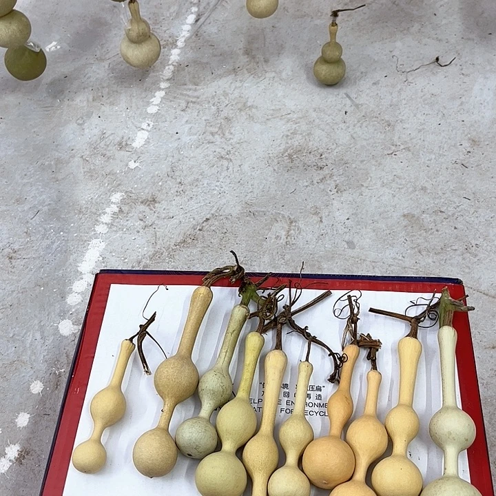 葫芦 文玩竟拍 手把 文玩民间艺术之乡