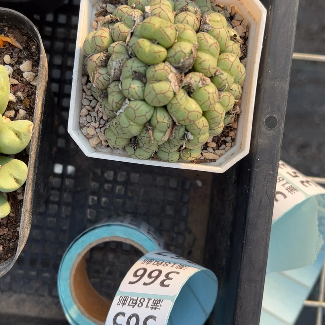 【闪购商品】351……