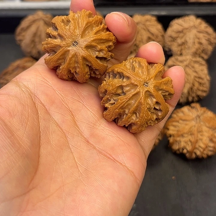 核桃秦岭KTV突突突突33