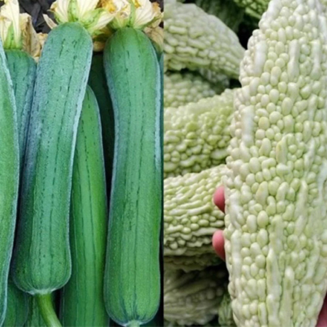 【湖南当季蔬菜】正宗本地露天新鲜农家菜自种绿色蔬菜混搭