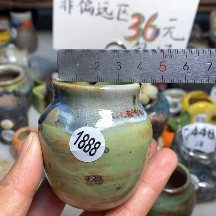 拍5送一个小礼物花盆