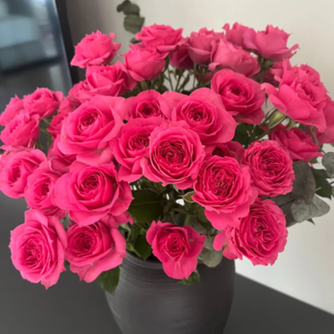 苏菲宝贝多头玫瑰5支