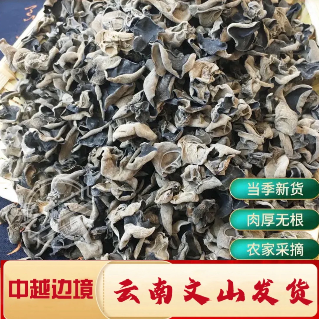 深山收集-精选【黑木耳】