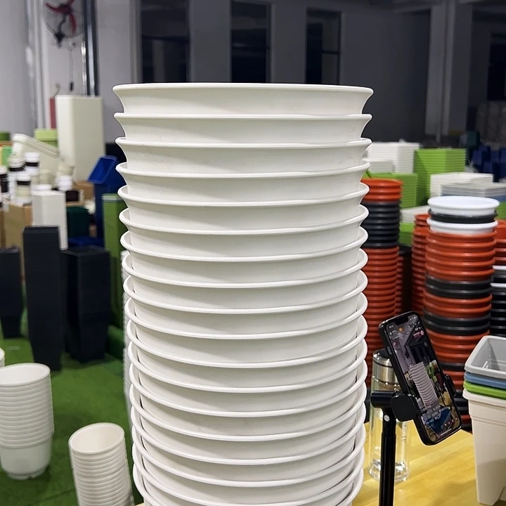 正品矮陶口21高15白色8只带托