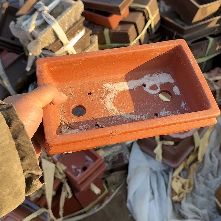 你说了就算吧反正是在说一说也不会