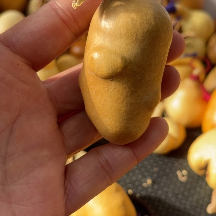 ꧁***n葫芦哈哈哈哈哈哈哈哈