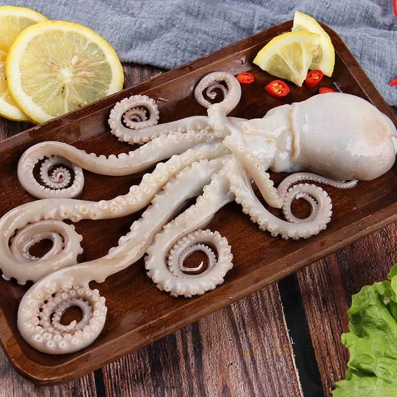 4斤长腿包头八爪鱼连云港发货4斤