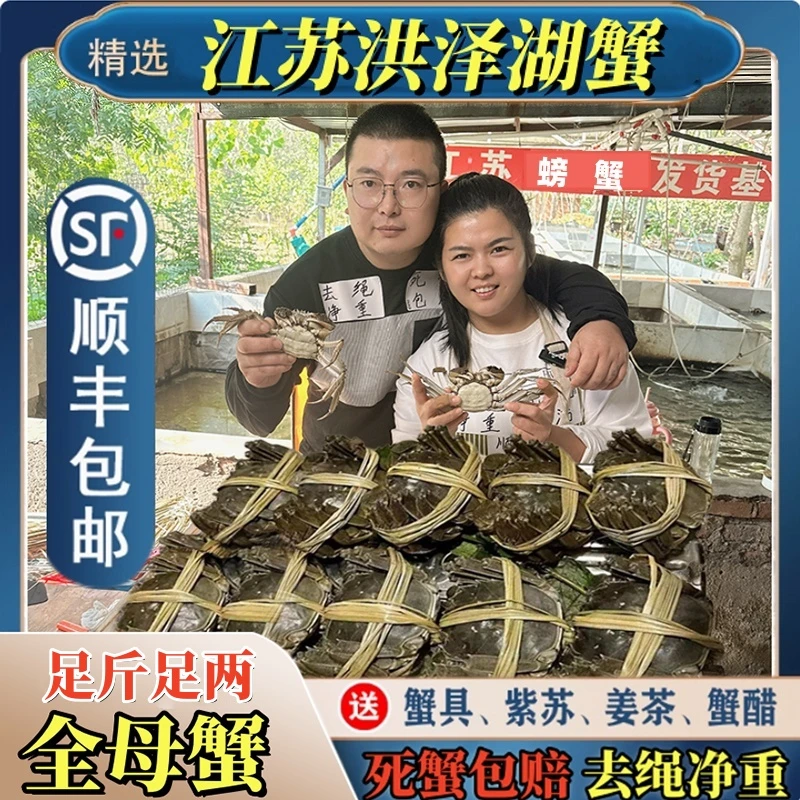 【活蟹现发】全母蟹8只装10只装（㍚0-㍚5两）洪泽湖螃蟹礼盒顺丰包邮