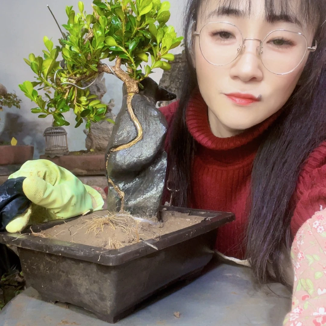 拼***搏无花朵花直播间不见不散