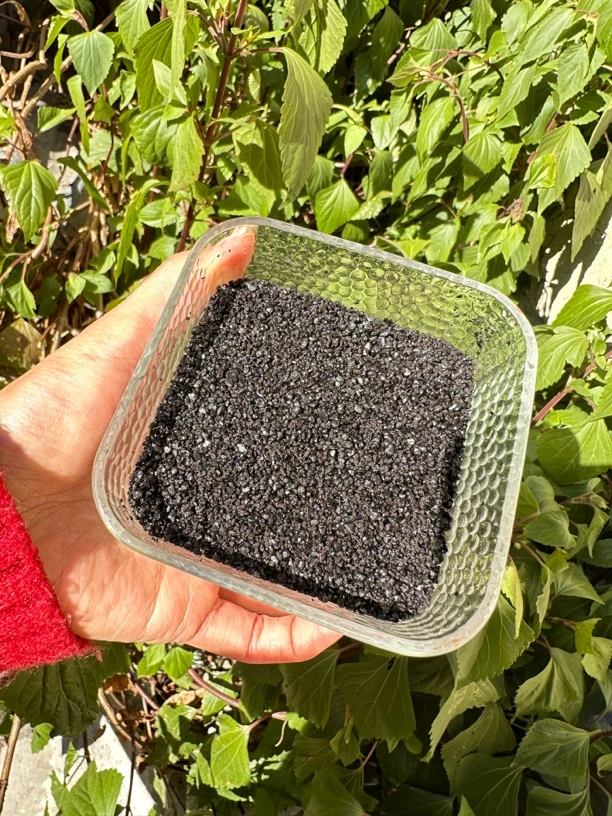 《桦-树-茸→黑_金_子》云南高山土特产