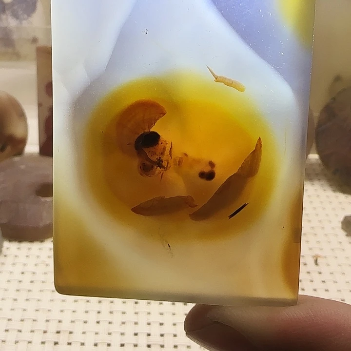 玛瑙/玉髓未镶嵌珠宝奇石