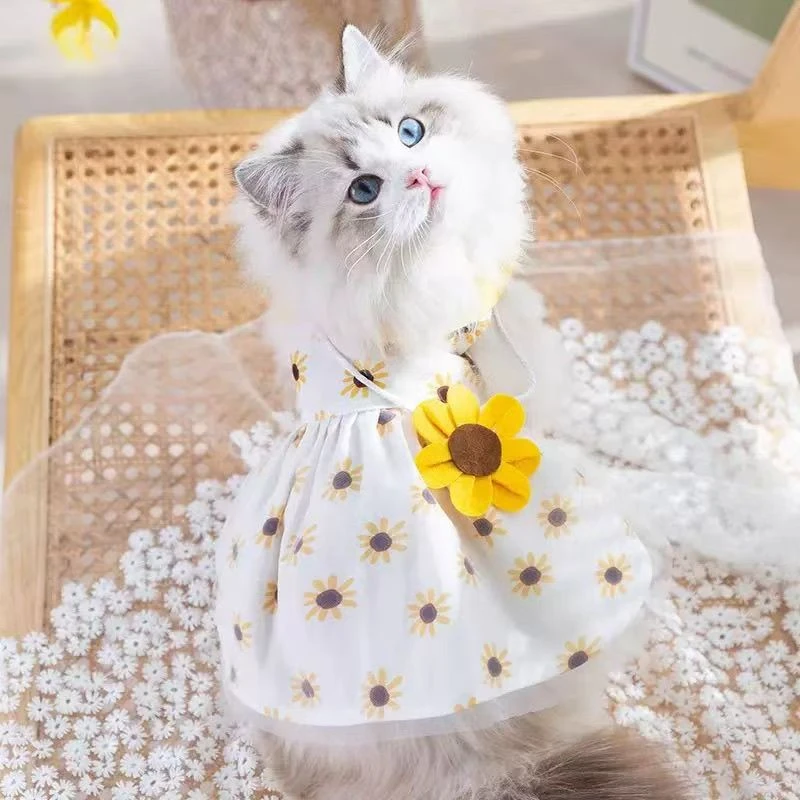 宠物狗秋夏装立体花朵连衣裙斜挎包比熊泰迪博美小型犬幼犬公主裙