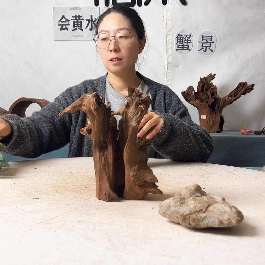 开*沉木造景爬宠造景