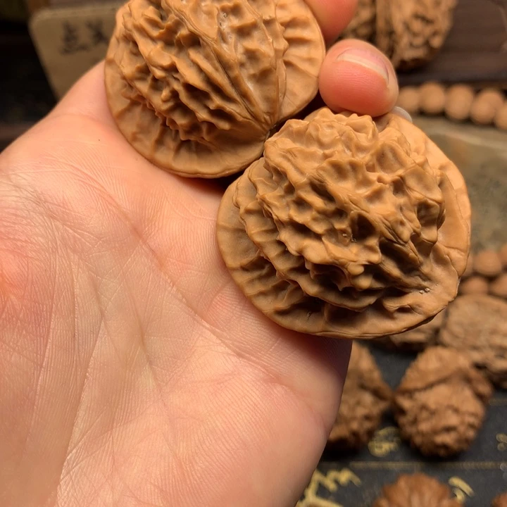 盐**儿秦岭森林生态环境